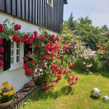 Im Dreilaendereck - Dom Przy Trzech Granicach Apartment Lesna  Exterior photo