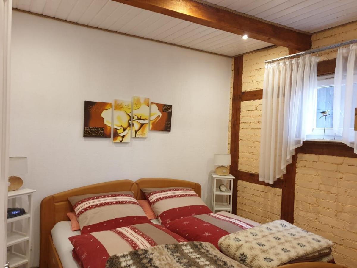Im Dreilaendereck - Dom Przy Trzech Granicach Apartment Lesna  Exterior photo