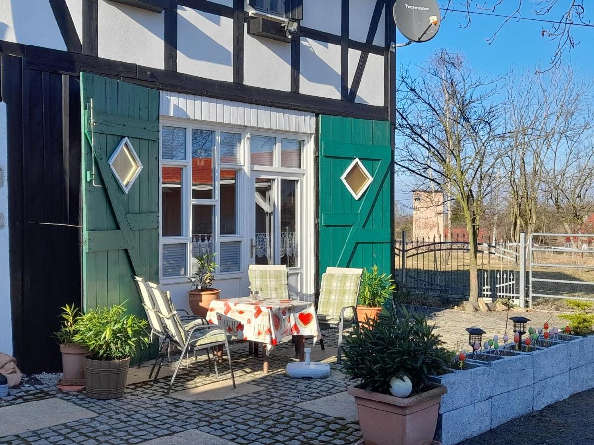 Im Dreilaendereck - Dom Przy Trzech Granicach Apartment Lesna  Exterior photo